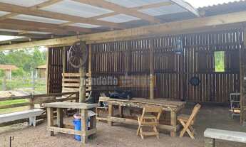 Imagem 6: Pandolfo Vende sítio no Guaíba Country