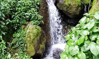 Imagem: Fazenda/Sítio/Chácara para venda tem 121