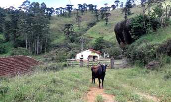 Imagem 4: Fazenda/Sítio/Chácara para venda com 411400 metros quadrados com 2 quartos
