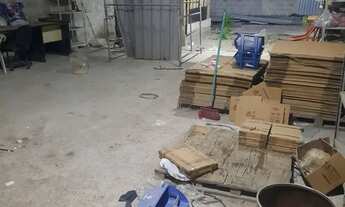 Imagem 3: Vendo galpaozinho Top