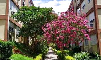 Imagem 2: Apartamento em Camaquã