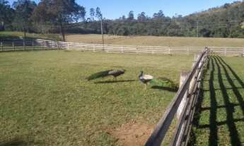 Imagem 3: ASF+. JR. Terrenos próximo do centro de Mairinque alta qualidade