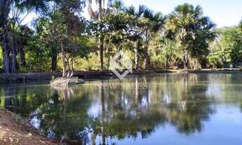 Imagem 4: Excelente chácara com 2 tanques de peixe no Município de Hidrolândia