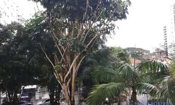 Imagem 4: APARTAMENTO - MOEMA ÍNDIOS - SP