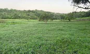 Imagem 5: Chácara com muito pasto e água pertinho do Recife