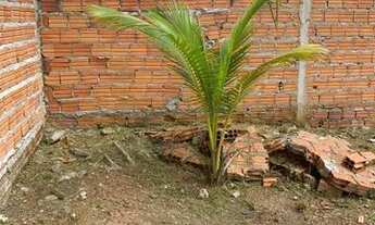 Imagem 3: Terreno no bairro goiabal