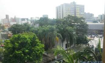 Imagem 7: APARTAMENTO - PERDIZES - SP