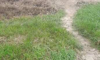 Imagem 6: Vendo ou troco no viver bem