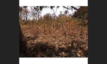 Imagem: Chácara em Rufinópolis