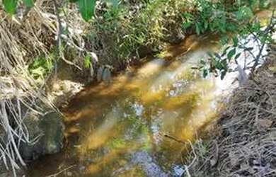 Imagem 5: CHACARA 5 MIL M² em Aracruz