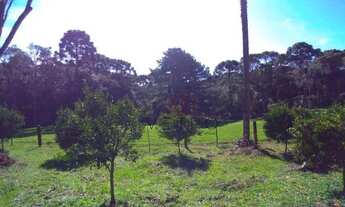 Imagem 5: Sítio no Rancho Jane em Canela!