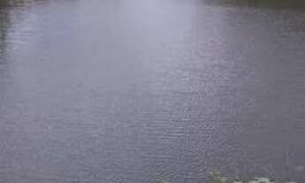 Imagem 2: Sítio a venda, próximo a Câmara Municipal de Aracoiaba - TE51046