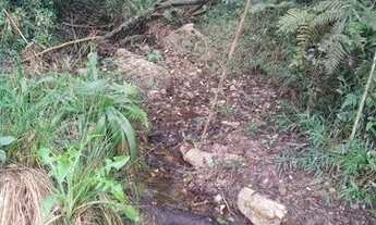 Imagem 6: Vendo área de terra 3500 mtrs a 36 km do trevo do atuba