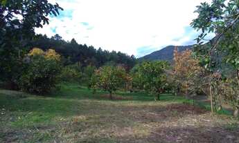 Imagem 4: Sítio no bairro Morro Calçado em Canela!