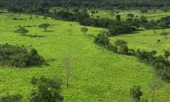 Imagem 5: . Uma Fazenda 400 Alqueires 80 km do município de Rosalândia Tocantins