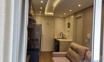 Imagem 3: APARTAMENTO - CIDADE ADEMAR - SP