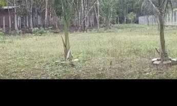 Imagem: Chácara em Joinville 1.800m2