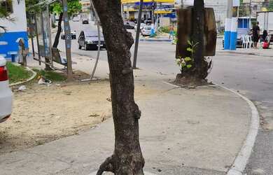 Imagem 3: ALUGA-SE QUARTO - PRAÇA DA COVANCA - PARQUE LAFAIETE