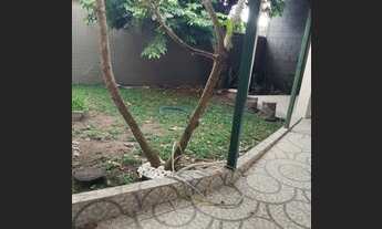 Imagem 2: Residencial Alto de Flores - Casa com 3 Quartos