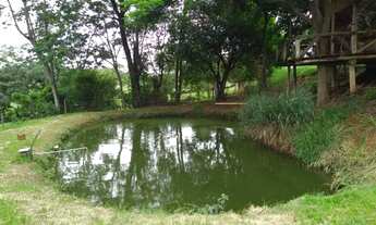 Imagem 5: São Paulo fazenda/Sítio 05 alqueires a 3 kilometros da cidade de Pérola no Paraná ótima lo