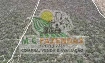 Imagem 6: Fazenda à Venda em Ribeira do Amparo - BA