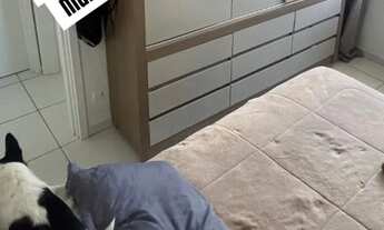 Imagem: APARTAMENTO À VENDA SEMI-MOBILIADO- OPORTUNIDADE