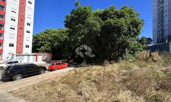 Imagem 2: Terreno próximo Escola Mestre