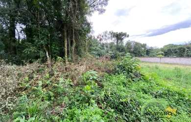 Imagem 2: Imóvel no Sete de Setembro, Ivoti