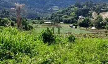 Imagem 2: Área de terra bairro Canelinha, Picada Café.RS REF: 459