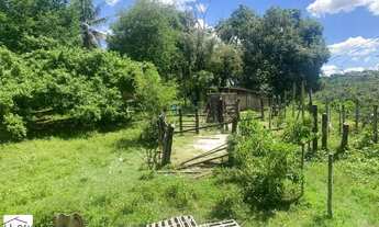 Imagem 5: FAZENDA RURAL em SANTO AMARO - BA, Zona Rural