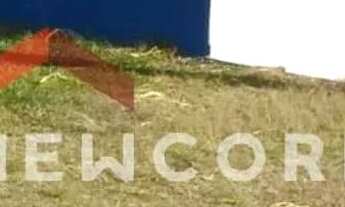 Imagem 7: Sítio em Rua um - Ribeiros - Angatuba/SP