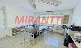 Imagem 7: Imóvel para venda possui 1795 metros quadrados em Parque Peruche - São Paulo - SP