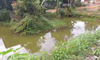 Imagem 7: Terreno na Cidade de Florestal, bairro Gameleira 3.450 m2