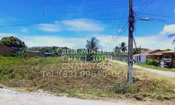 Imagem 2: Imóvel para venda possui 450 m² em Povoado Pedras - Marechal Deodoro - AL