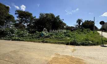 Imagem 6: Terreno com 456m² bairro canelas