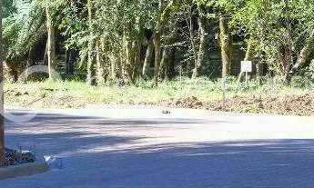 Imagem: TERRENO EM CONDOMINIO FECHADO EM CANELA