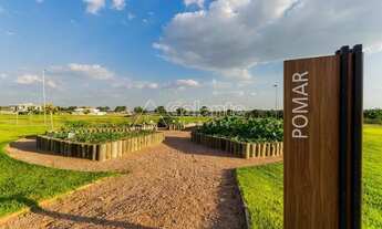 Imagem 7: Terreno - Chácara São José - Jaguariúna