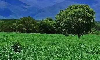 Imagem: Fazenda à Venda em São João dAliança