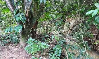 Imagem 4: Imóvel Chácara venda 1500 m2 em Área Rural de Senador Canedo - Senador Canedo - GO