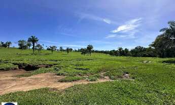 Imagem 6: Fazenda à Venda em São Luís de Montes Belos GO