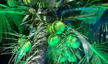 Imagem: Casa com amplo terreno