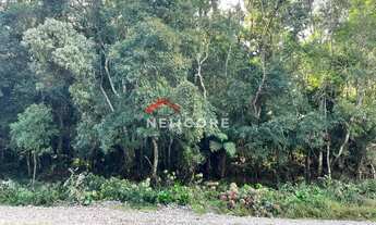 Imagem 5: Lote em Avenida Chimangos - Colinas - São Francisco de Paula/RS