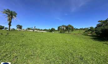 Imagem 3: Fazenda à Venda em São Luís de Montes Belos GO