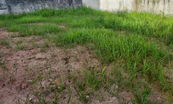 Imagem 4: Lote Ponta da Fruta 360 metros Quadrados