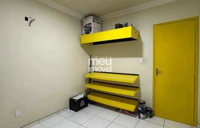 Imagem 5: ANA20: APE BEQUIMAO