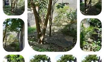 Imagem 5: Terreno a venda - Vila Eldízia, Santo André