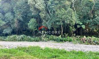 Imagem 6: Lote em Avenida Chimangos - Colinas - São Francisco de Paula/RS