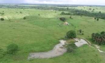 Imagem 4: 56 alqueires a 140 km de Belem por 4.500.000,00 toda no pasto