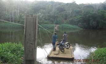 Imagem 12: Fazenda em Nilo Peçanha
