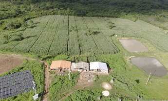 Imagem 3: Oportunidade! linda fazenda a venda de porteira fechada 69 hectares na Pi 113 a 28 km da P